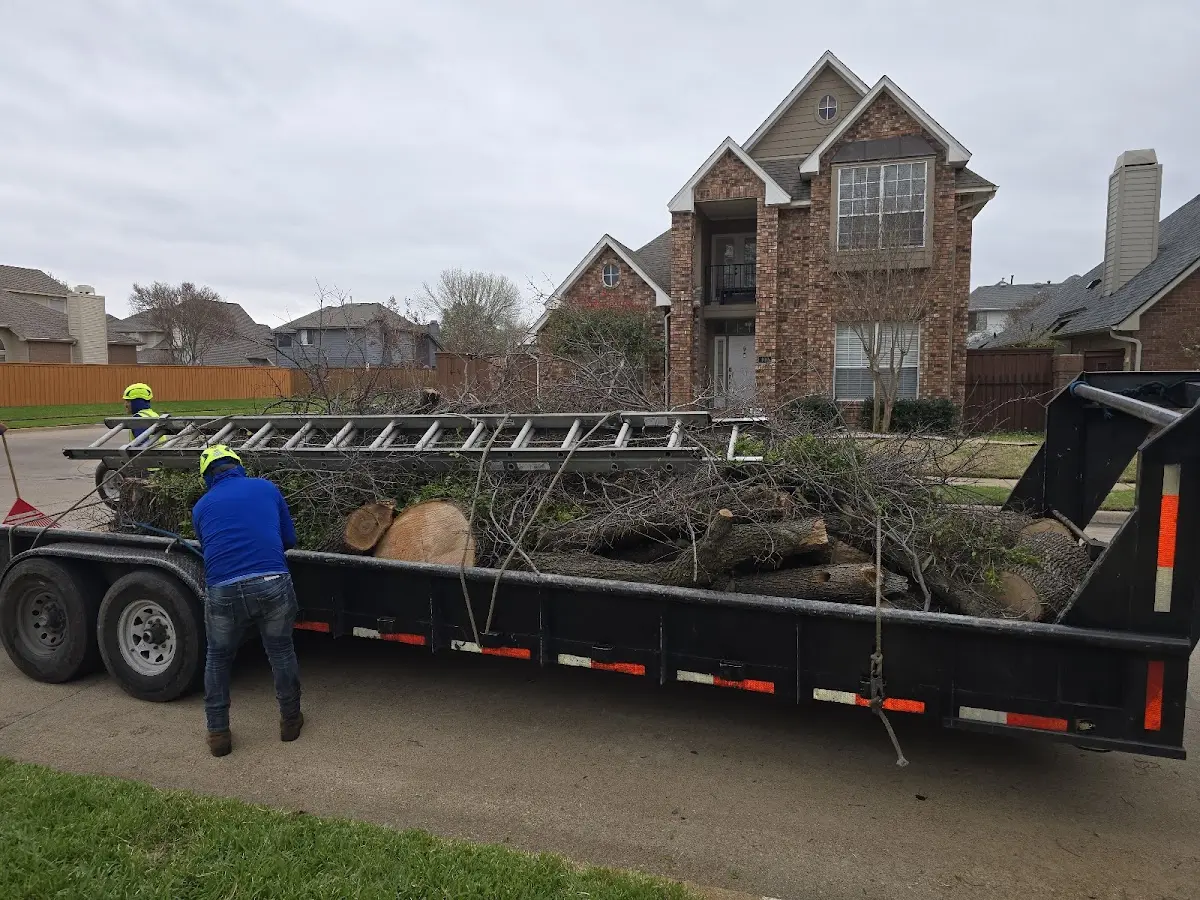 Expert Tree Fertilization with proper safety equipment in Le Sueur